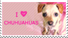 I love chihuahuas stamp